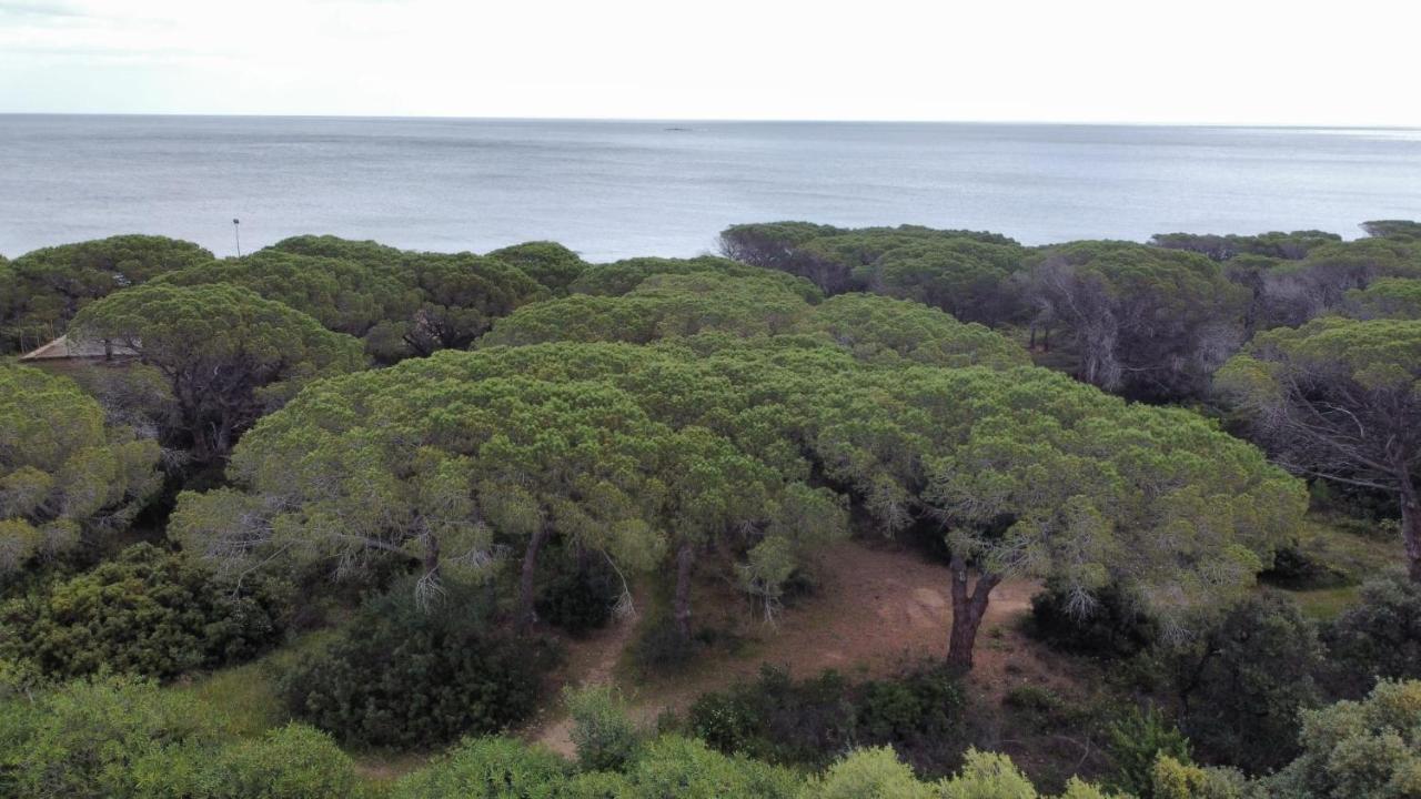 Le Pavoncelle Villa Budoni Exteriör bild