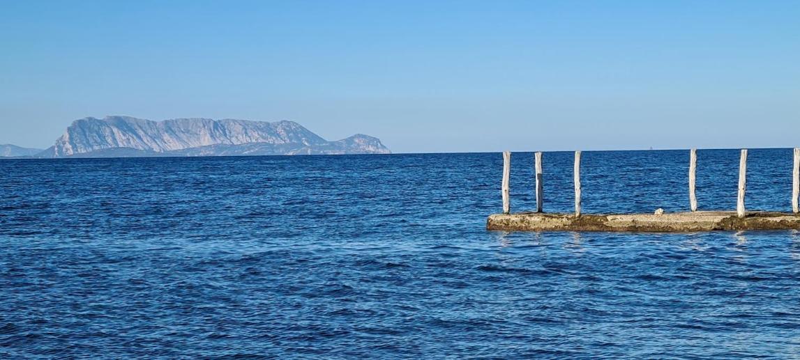 Le Pavoncelle Villa Budoni Exteriör bild